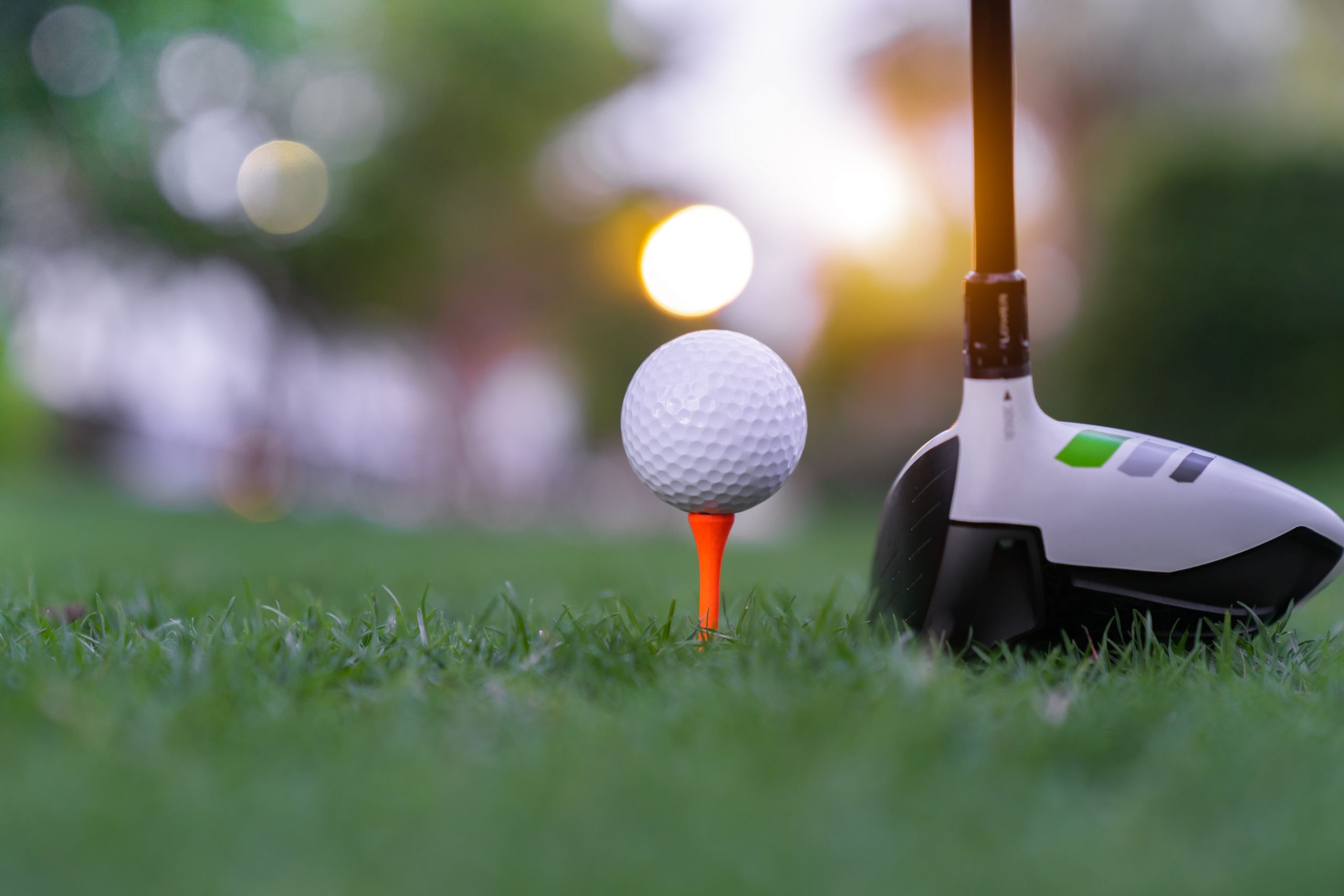 Golf #1